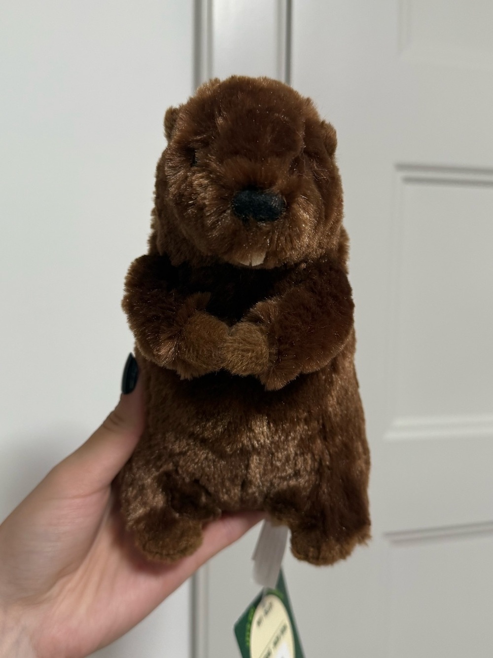 Douglas Cuddle Toys "Buddy Beaver" Plush